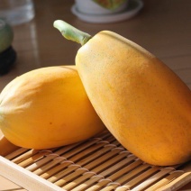 树上熟红心牛奶木瓜~口感厚实细致，清甜香浓！