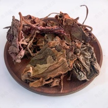 红水葵红背菜野生中药材