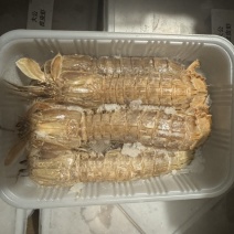 皮皮虾