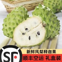 顺丰空运凤梨释迦果释迦果一件代发礼盒装释迦果