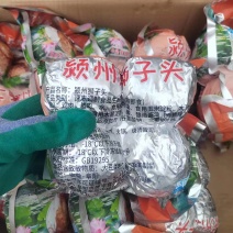 新到狮子头，单个重量200克一个腾惠更多客户的选择