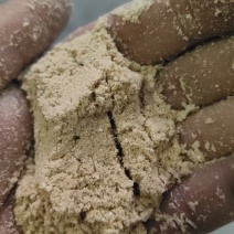 米糠