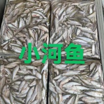 小河鱼