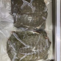 汉寿甲鱼