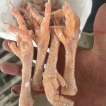 老鸡爪蛋鸡爪老母鸡爪