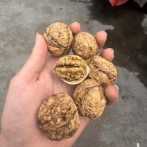 云南麻子核桃新疆核桃