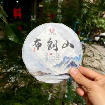 2023年头春古树茶，后期压制成饼