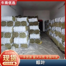 江西干粽子叶/野生干粽叶大号新叶/家用商用粽叶批发