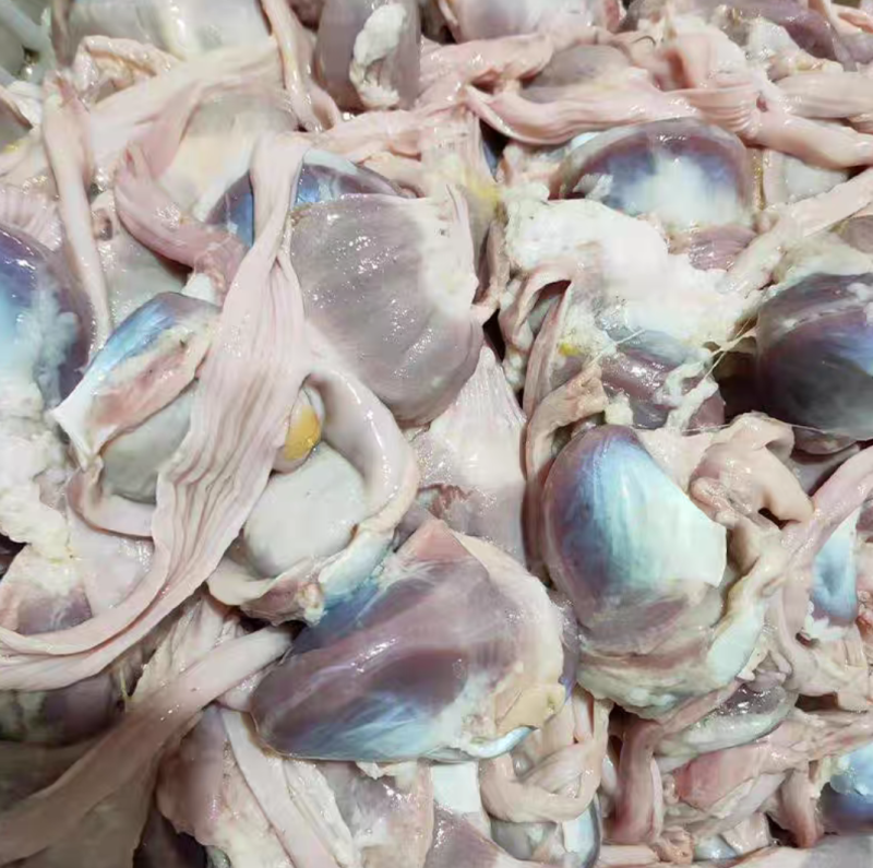 广东新鲜当天杀顶鹅胗大鹅肾鹅胗鹅肫现杀卤味食材内脏非冷冻