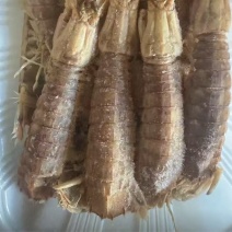 皮皮虾