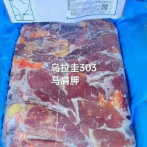 乌拉圭303马肩胛