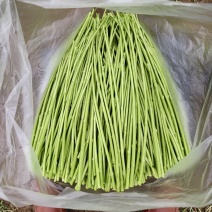 青白芦蒿，自产自销，基地直发，没有中间商赚差价
