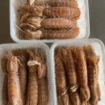皮皮虾