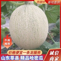 精品哈密瓜鲁厚甜玫珑网纹瓜脆蜜脆甜优质甜瓜大量
