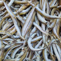 银针鱼，面条鱼，即食，干煸辣炒都好吃，做香辣小熟鱼特棒