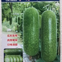冬瓜种子泸好绿翠毛节瓜新品种瓜形美观肉厚嫩绿味清甜