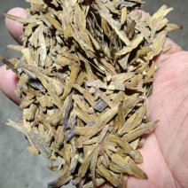 通货龙井