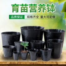 育苗杯营养钵育苗盆种植穴盘塑料营养袋育苗袋一次性花盆营