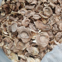 香菇防野生香菇香菇片香菇脚香菇丝产地直销
