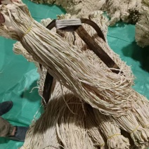 萝卜条诚信经营，支持视频看货，欢迎客户咨询