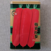 九寸红胡萝卜种子三红胡萝卜春秋两用耐热强抗病高产基地种植