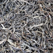 普洱晒青毛茶，普洱生茶，烘青毛茶，厂家直供