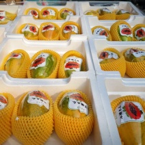 木瓜