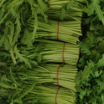 茼蒿