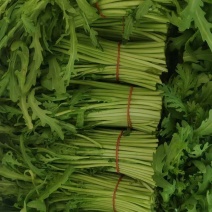 茼蒿