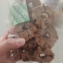 宠物零食，肉干