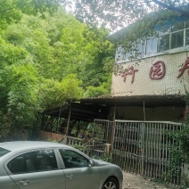 草纸用竹子