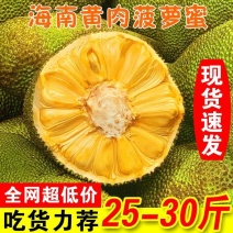 海南三亚黄肉菠萝蜜一整个新鲜水果当季波罗蜜整个假榴莲批发