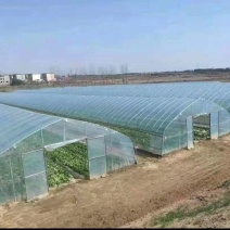 天津厂家直发种植大棚，冷棚，蔬菜大棚骨架，暖棚，菌棚