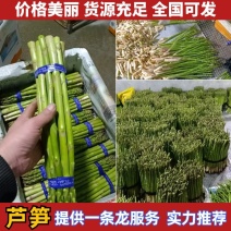 芦笋精品芦笋新鲜嫩绿精品货源大小齐全欢迎咨询