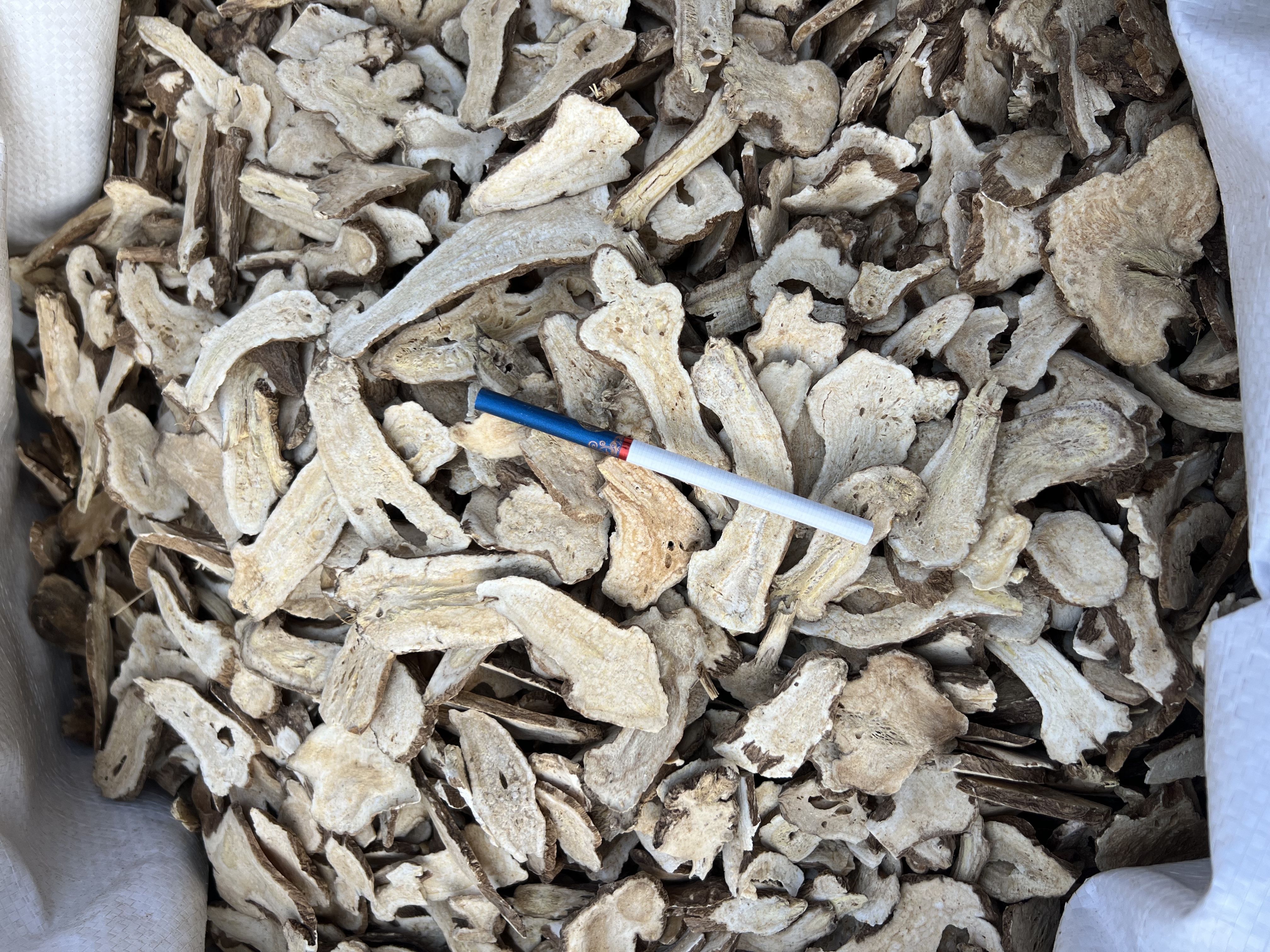 中药柜中整齐摆放的白色薄片状饮片,标签注明“生白术”或“白术片”,饮片呈类圆形或椭圆形切片,表面黄白色至淡棕黄色,质地脆,气味清香 中药房中的白术饮片区