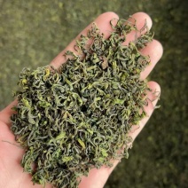 细培安吉白茶手工，1000斤