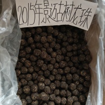 自家普洱茶