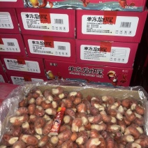 特级单冻龙虾尾9斤箱厂家直供规格齐全常年不断货量大从优