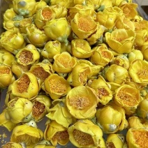 金花茶干花正宗金花茶广西特级防普金花茶