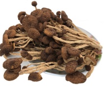 不开伞茶树菇干货农家自产新货煲汤佳品当季