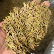 黄版龙井