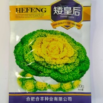 黄心乌种子丰产耐寒强株型矮喜冷凉