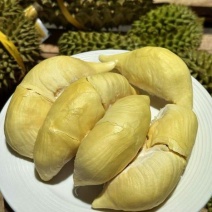 顺丰包邮泰国金枕榴莲一件代发对接各大电商平台