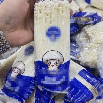 100g，150g，200g小包金针菇，各种箱规