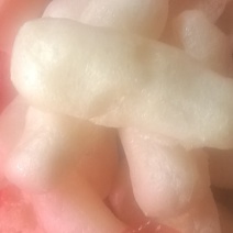 豆参