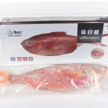 金目鲷鱼