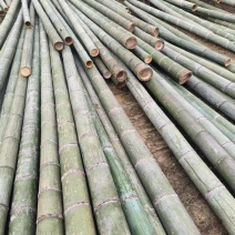 各种规格的楠竹，竹片。量大从优。