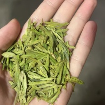 绿版龙井