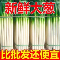 铁杆大葱产地看货论价保质保量欢迎订购量大从优