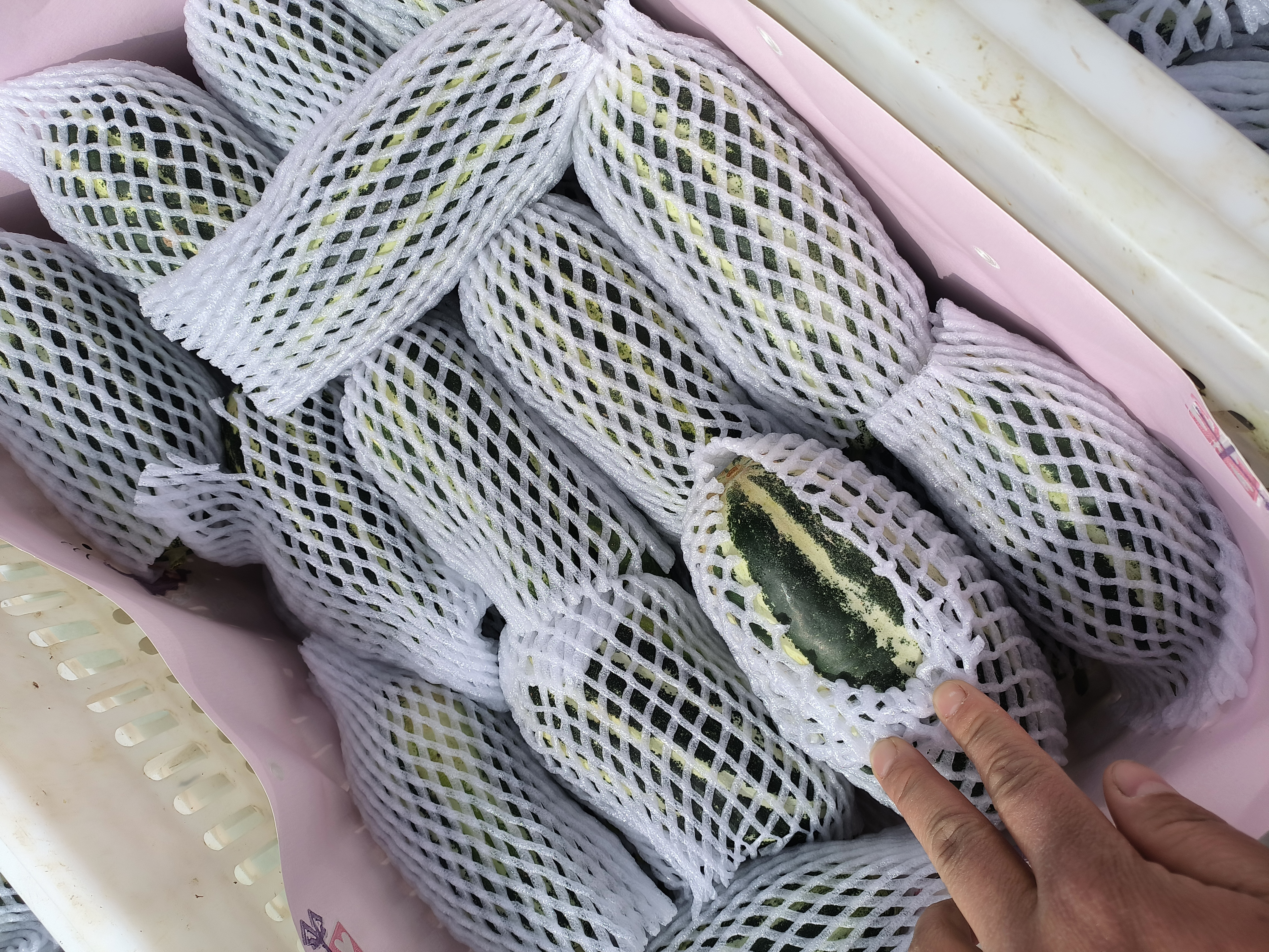 展示博洋9号甜瓜的精品礼盒包装设计,突出其高端水果定位和节日礼品属性 博洋9号甜瓜礼盒包装展示图